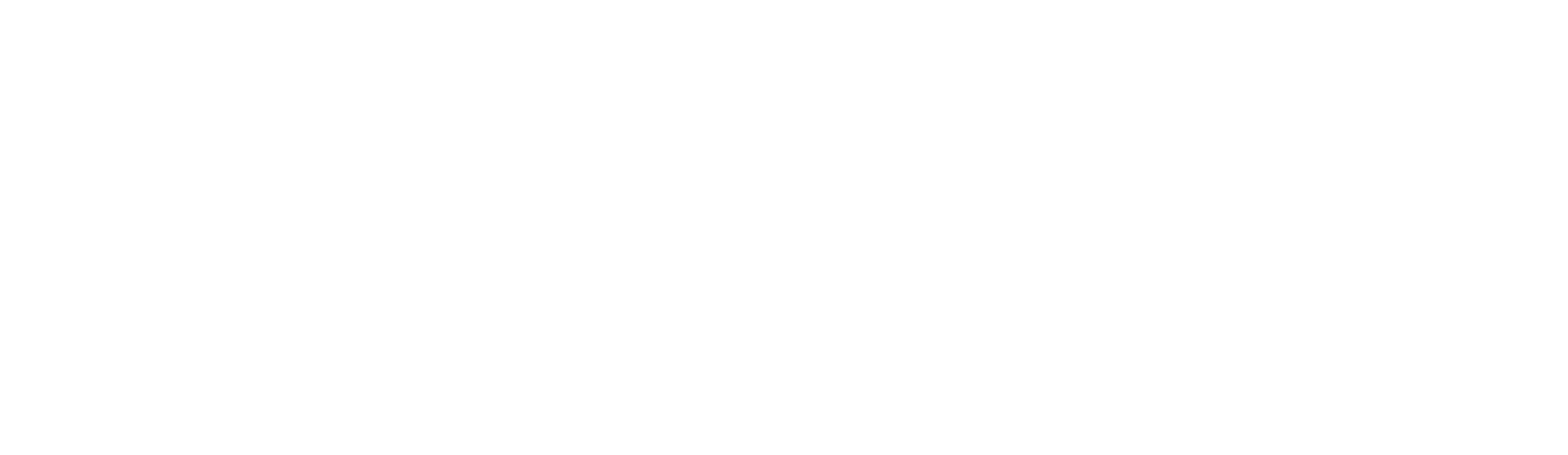 Performance Podiatry